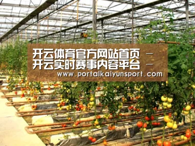 种植基地二(图1)