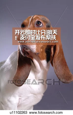 开云即时比分|明天!支付宝发布帮扶餐企数字化升级重磅计划!不容错过(图2) 开云体育直播